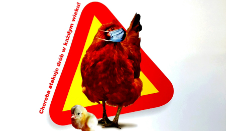 HPAI-plakat