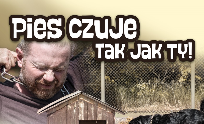 Pies czuje tak jak Ty