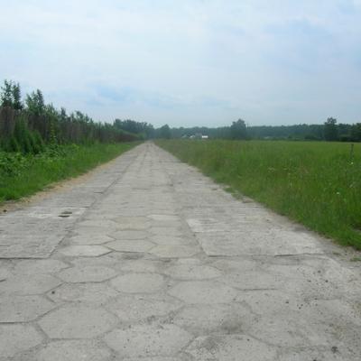 P036 1 1