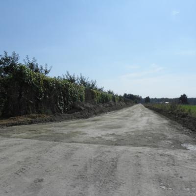 P036 1 2