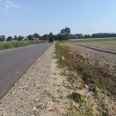 Dawidy Droga Nr 103758 3
