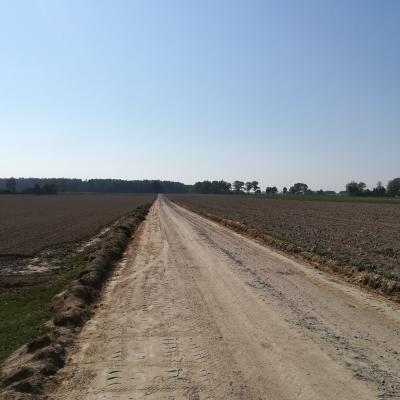 Dawidy Droga Nr 103778 2