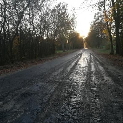 Kolano Nr 103752 4