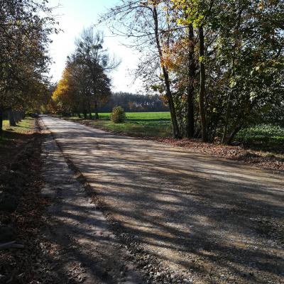 Kolano Nr 103752 5