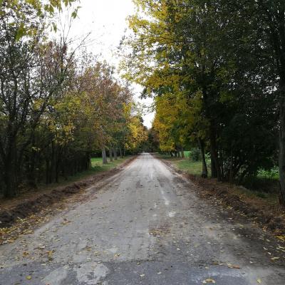 Kolano Nr 103752 7