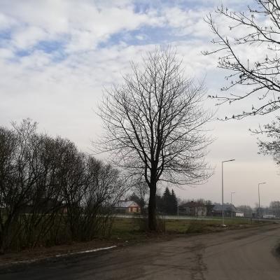Oswietlenie Uliczne Kolano Kolonia1