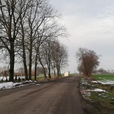 Oswietlenie Uliczne Kolano Kolonia3