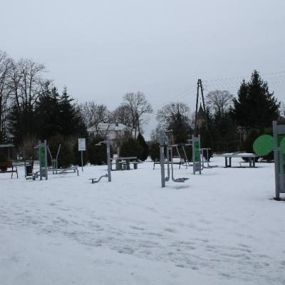 Osa Paszenki 11
